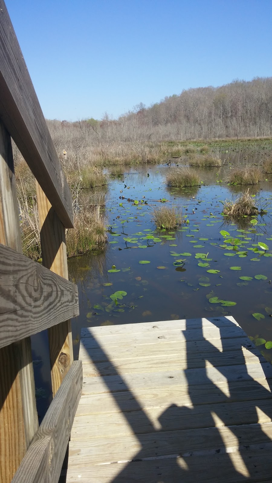 Nesmith Preserve - Starrs Mill Environmental Trail & Boardwalk | 101 Panther Path, Fayetteville, GA 30215, USA | Phone: (770) 486-7774