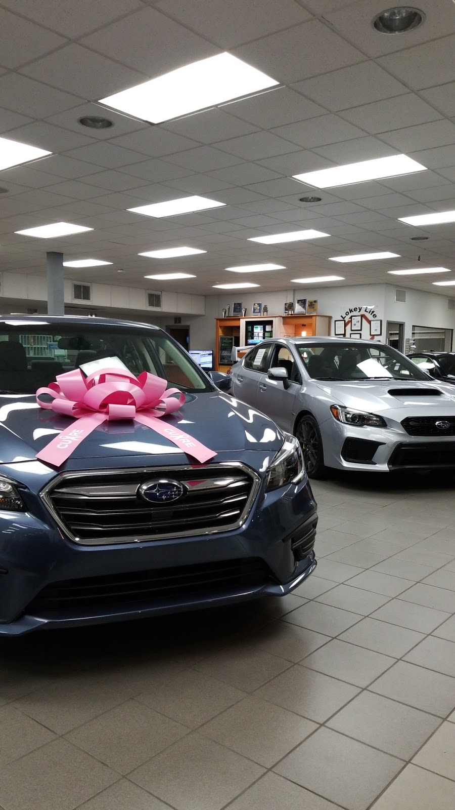 Subaru of Port Richey | 11613 US-19, Port Richey, FL 34668, USA | Phone: (727) 862-9044