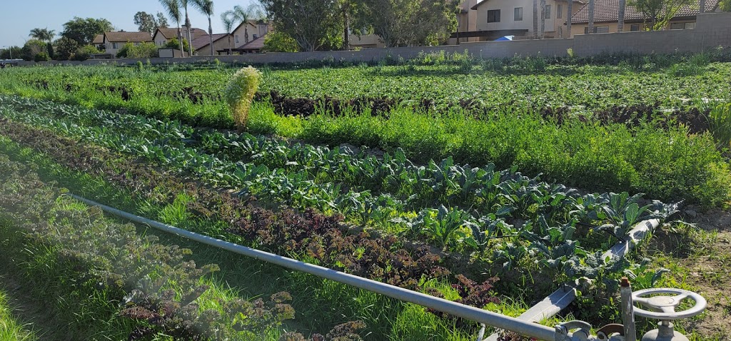 Family Farms | 13406 Cypress Ave, Chino, CA 91710, USA | Phone: (909) 717-5871