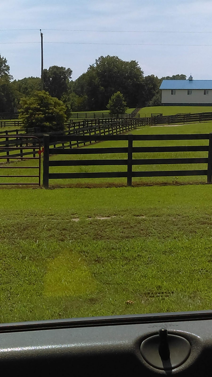 Hensleys Show Horses | 5000 Farmers Dr, Barhamsville, VA 23011, USA | Phone: (757) 566-3715