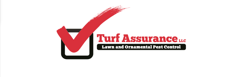 Turf Assurance LLC | 230 Mystic Lake Dr N, St. Petersburg, FL 33702, USA | Phone: (727) 420-1163