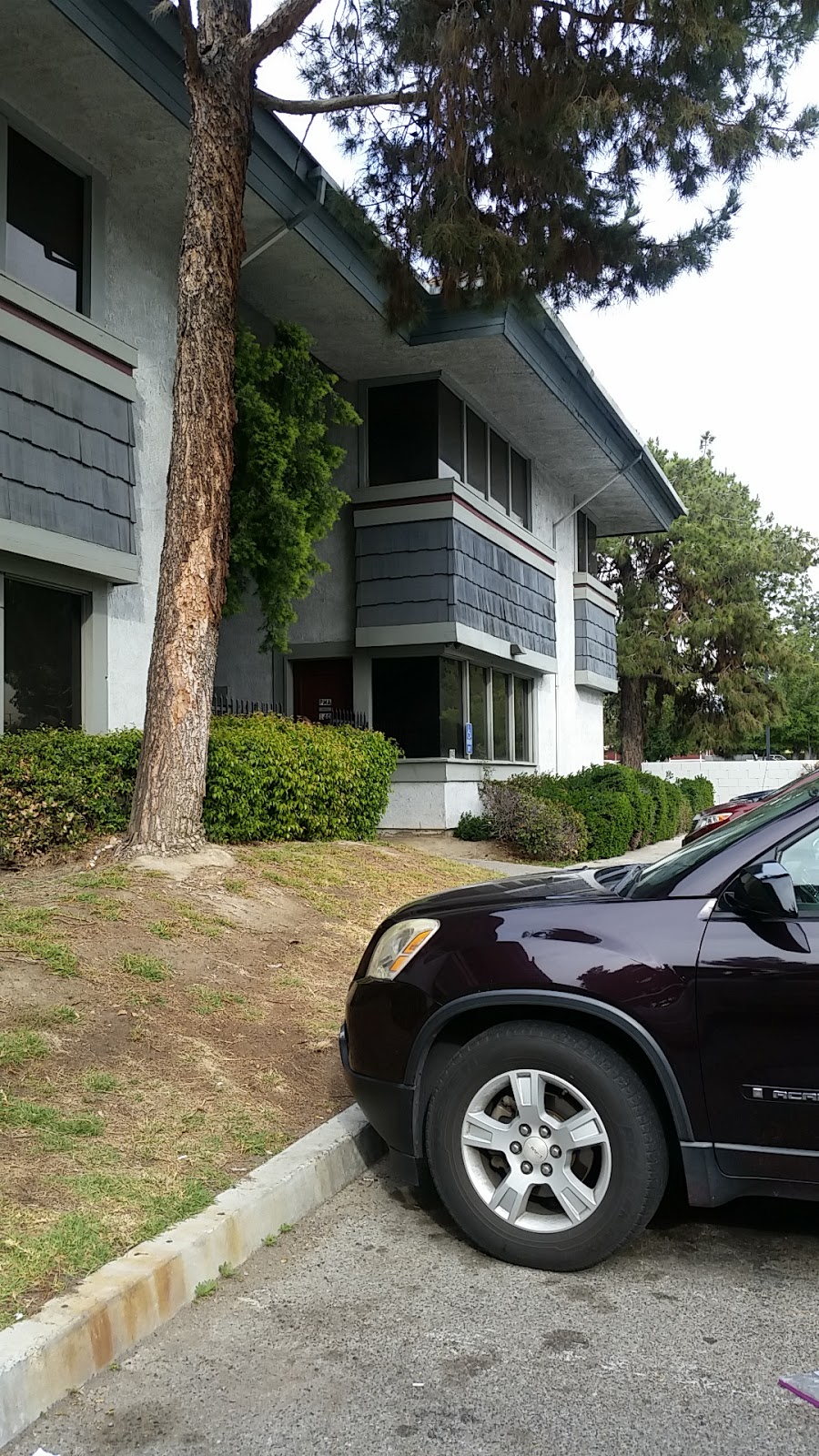 PMA Collective | 155 W Hospitality Ln Unit 140, San Bernardino, CA 92408, USA | Phone: (951) 665-2413