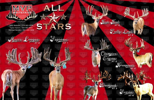 MVP Whitetails | 4400 Kaufman Rd, Kaufman, TX 75142, USA | Phone: (214) 683-9906