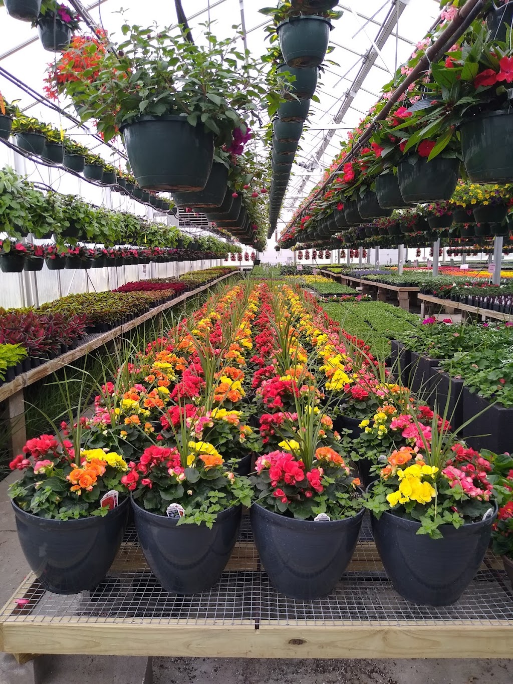 Eisele Greenhouse Inc | 8350 160th St W, Lakeville, MN 55044, USA | Phone: (952) 432-7435