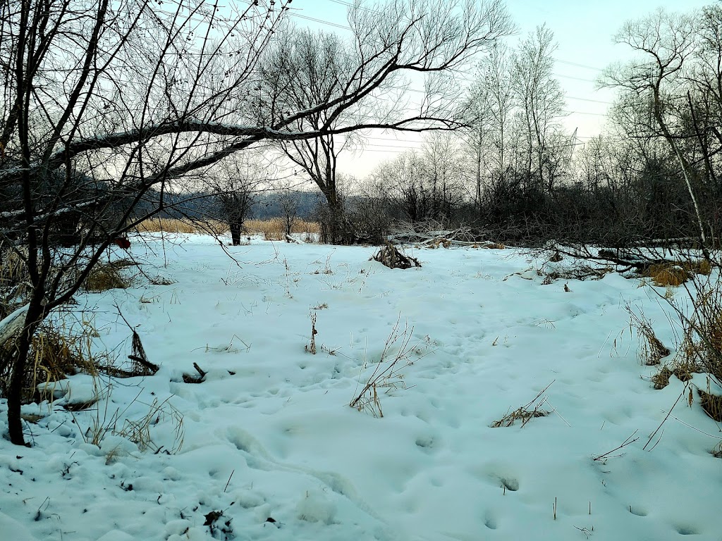 Savage Fen Scientific and Natural Area (SNA) | 128th St, Savage, MN 55378, USA | Phone: (651) 259-5800