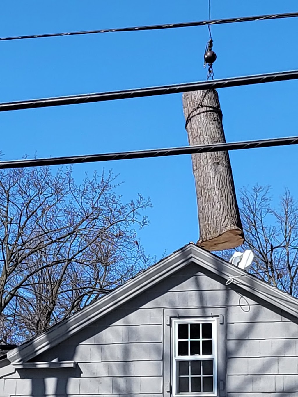 High Peaks Tree Removal | 71 Big Boom Rd, Queensbury, NY 12804, USA | Phone: (518) 668-9601