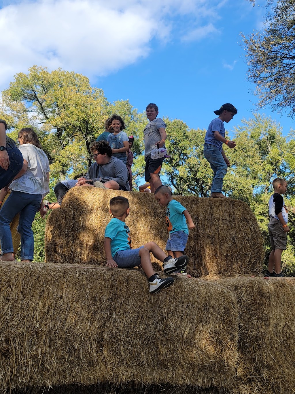 Shadow Creek Pumpkin Farm | 99.0959.000.016.99.108, Midlothian, TX 76065, USA | Phone: (469) 612-3331