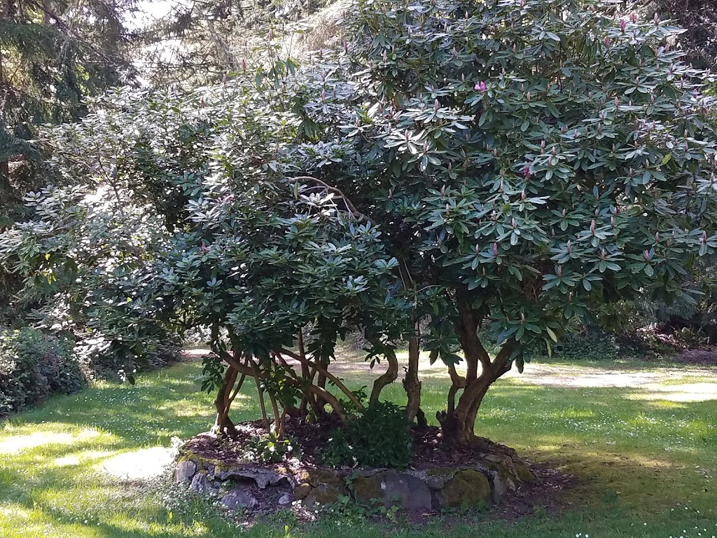 Swansonville Cemetery | Port Ludlow, WA 98365, USA | Phone: (360) 437-7990