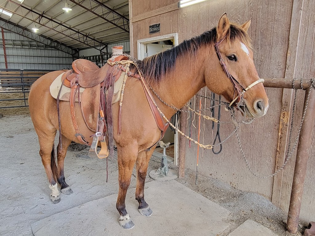 Boonesboro Animal Clinic | 1500 Boonesboro Rd, Winchester, KY 40391, USA | Phone: (859) 745-1173