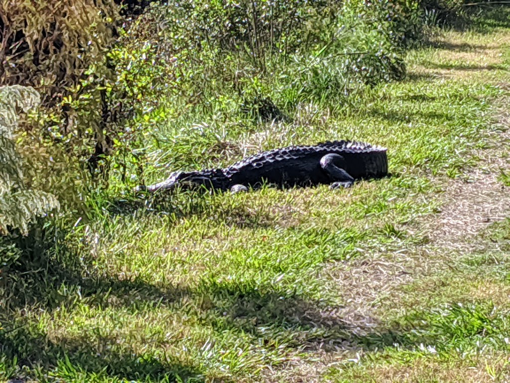 Egans Creek Greenway Trail | Fernandina Beach, FL 32034, USA | Phone: (904) 310-3350