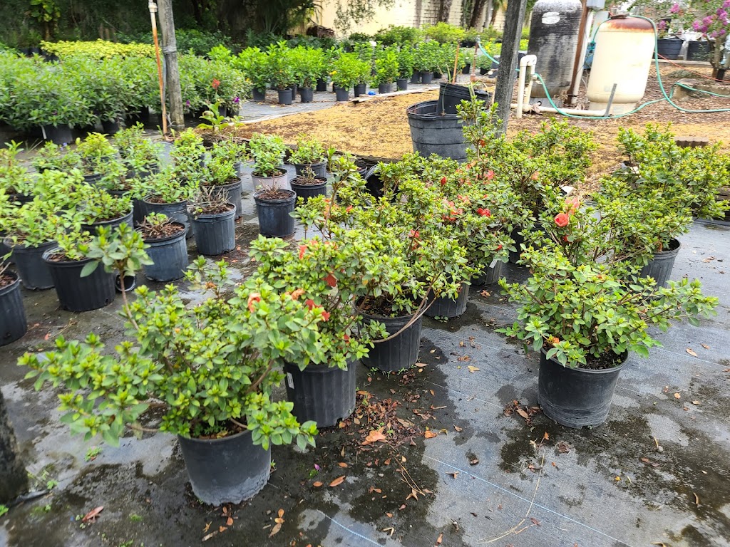 Nursery Landscape & Garden Center | 5955 Florida Ave S, Lakeland, FL 33813, USA | Phone: (863) 644-7331