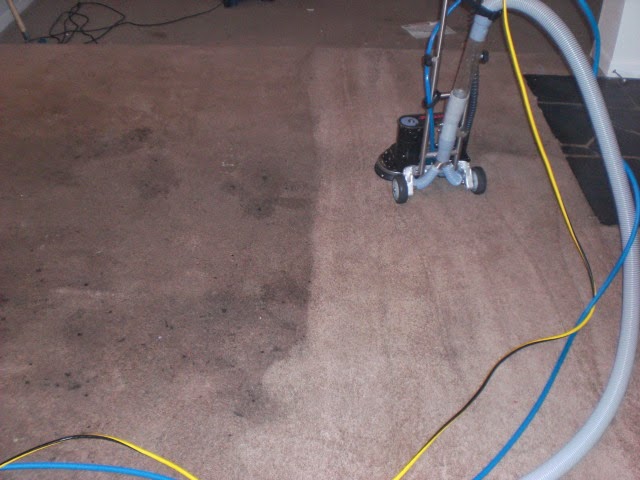 tampabayrestorecarpetcleaning.com | 1500 78th Terrace N, St. Petersburg, FL 33702, USA | Phone: (813) 263-3676