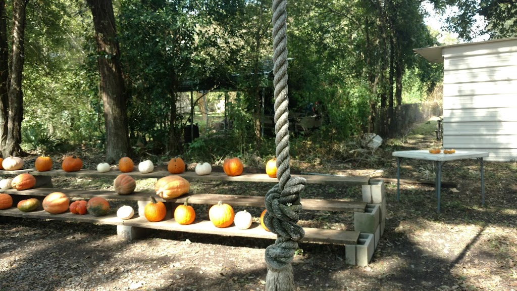 Glaser’s Produce Farm | Unnamed Road, New Roads, LA 70760, USA | Phone: (225) 618-9337