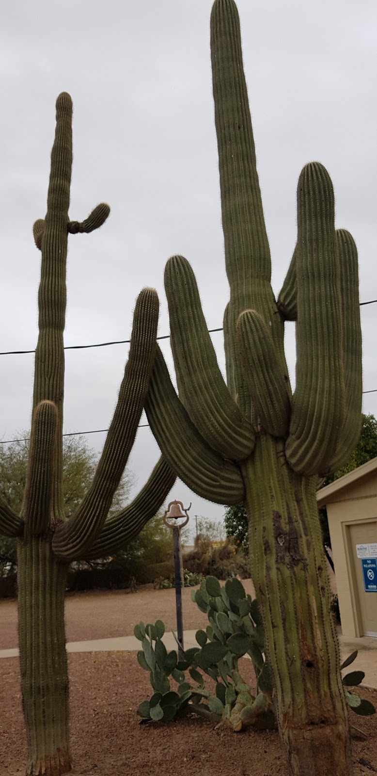 Discover Marana Visitor Center | 13251 N Lon Adams Rd, Marana, AZ 85653, USA | Phone: (520) 639-8040