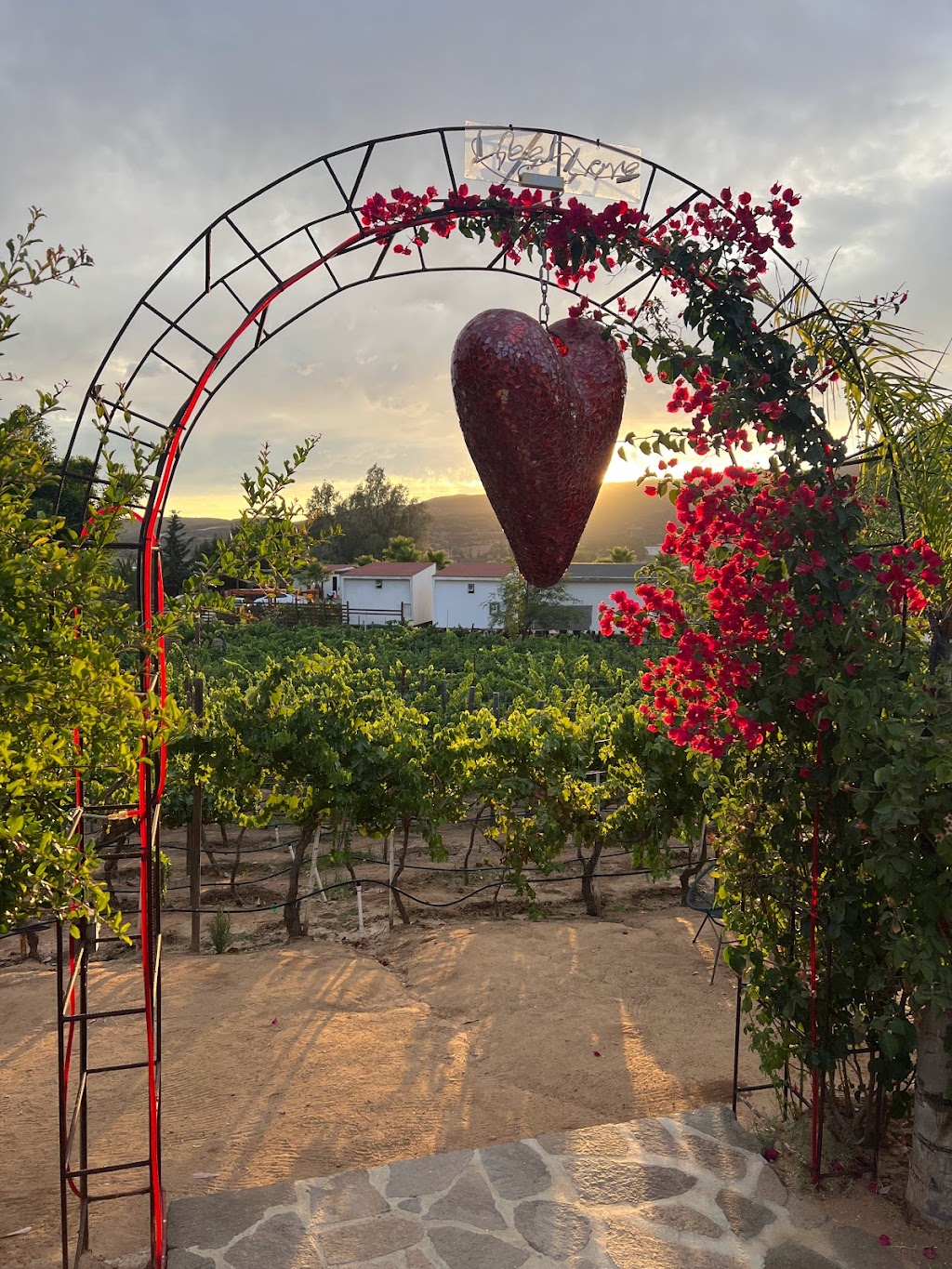 VINICOLA ECLECTICO | carretera al tigre km 14.1, San Marcos, 22753 Ensenada, B.C., Mexico | Phone: 646 269 8401