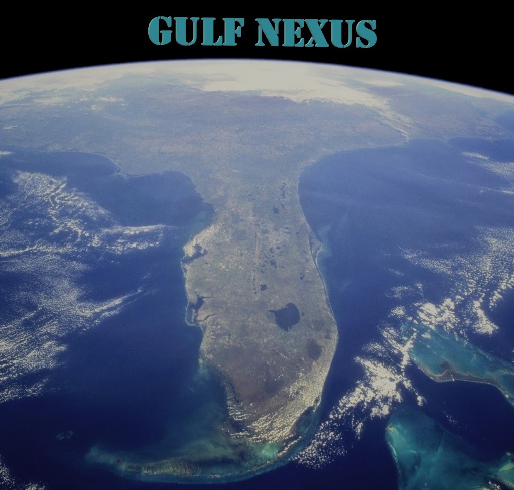 Gulf Nexus | 2373 Hidden Lake Dr, Palm Harbor, FL 34683, USA | Phone: (727) 485-3516