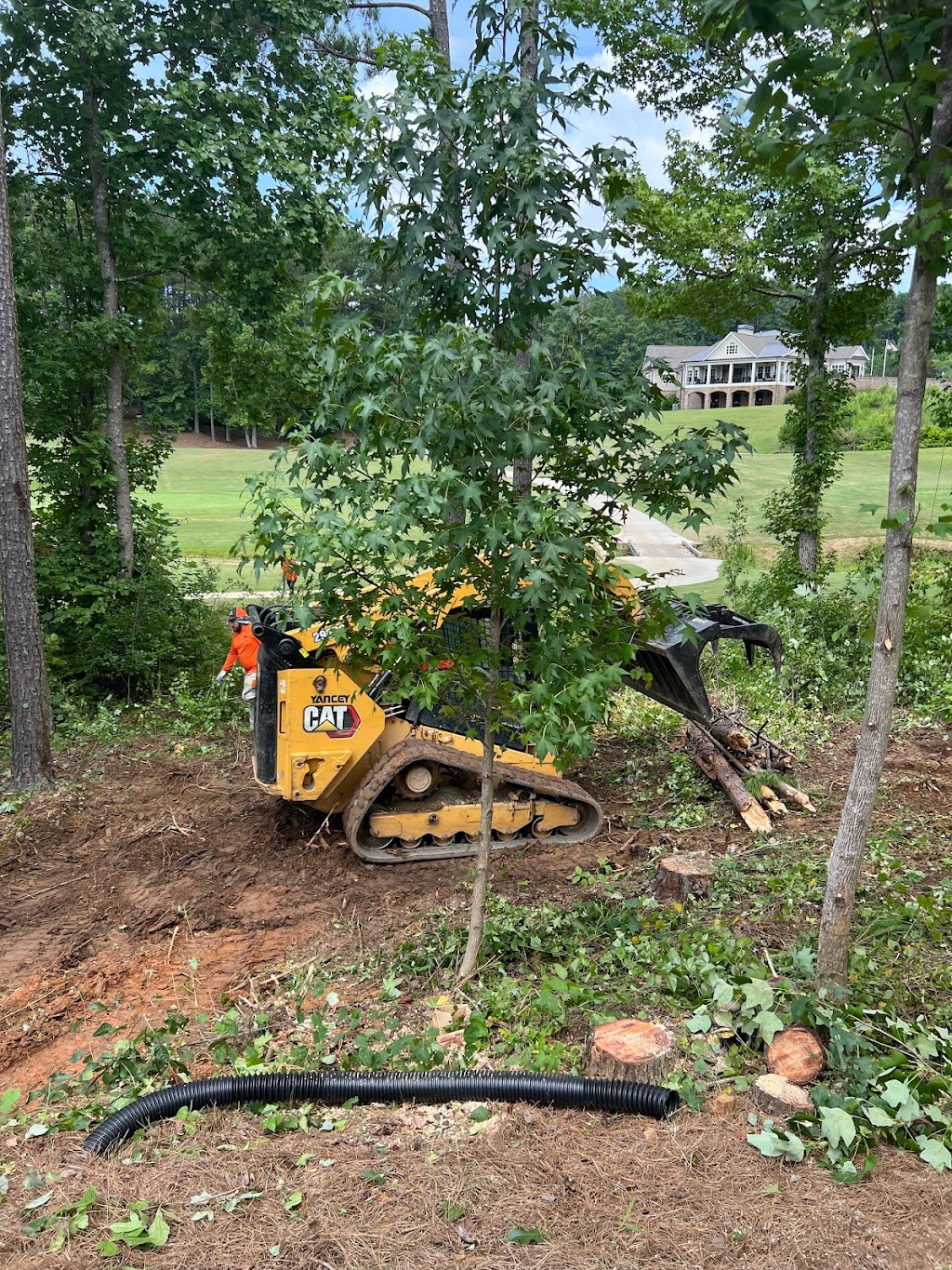 Danilos Professional Tree Service and Landscaping Co. | 3458 Charles Hardy Pkwy, Dallas, GA 30157, USA | Phone: (678) 988-8690