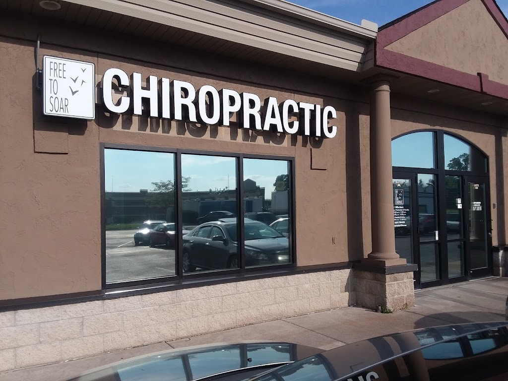 Free to Soar Chiropractic | 843 W Broadway Ave ste a, Forest Lake, MN 55025, USA | Phone: (651) 728-6700