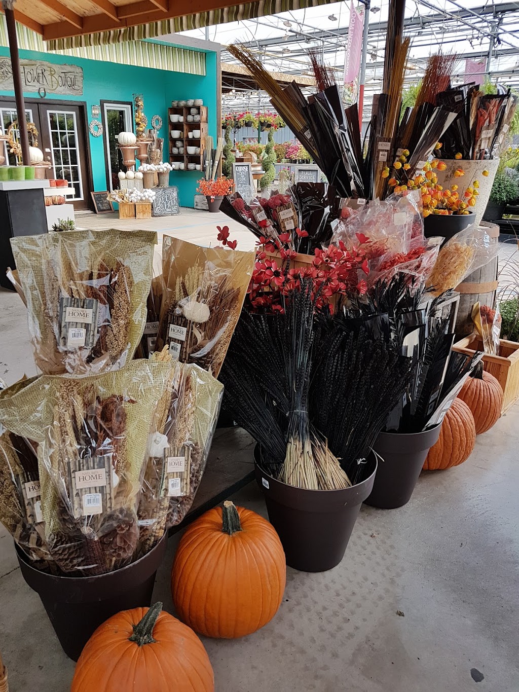 Country Basket Garden Centre | 10008 Lundys Ln, Niagara Falls, ON L2H 0T6, Canada | Phone: (905) 358-5811