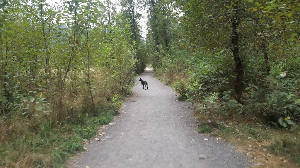 Sandy River Delta | Thousand Acres Rd, Troutdale, OR 97060, USA | Phone: (503) 695-2372