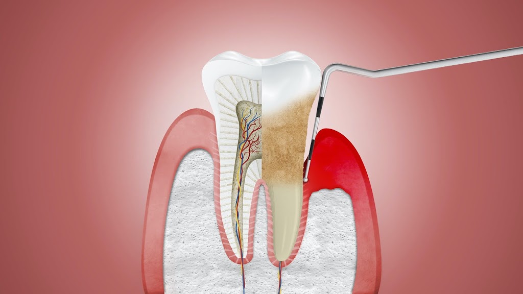 Rockland Dental Specialists | 873 NY-45 #201, New City, NY 10956, USA | Phone: (845) 241-3870