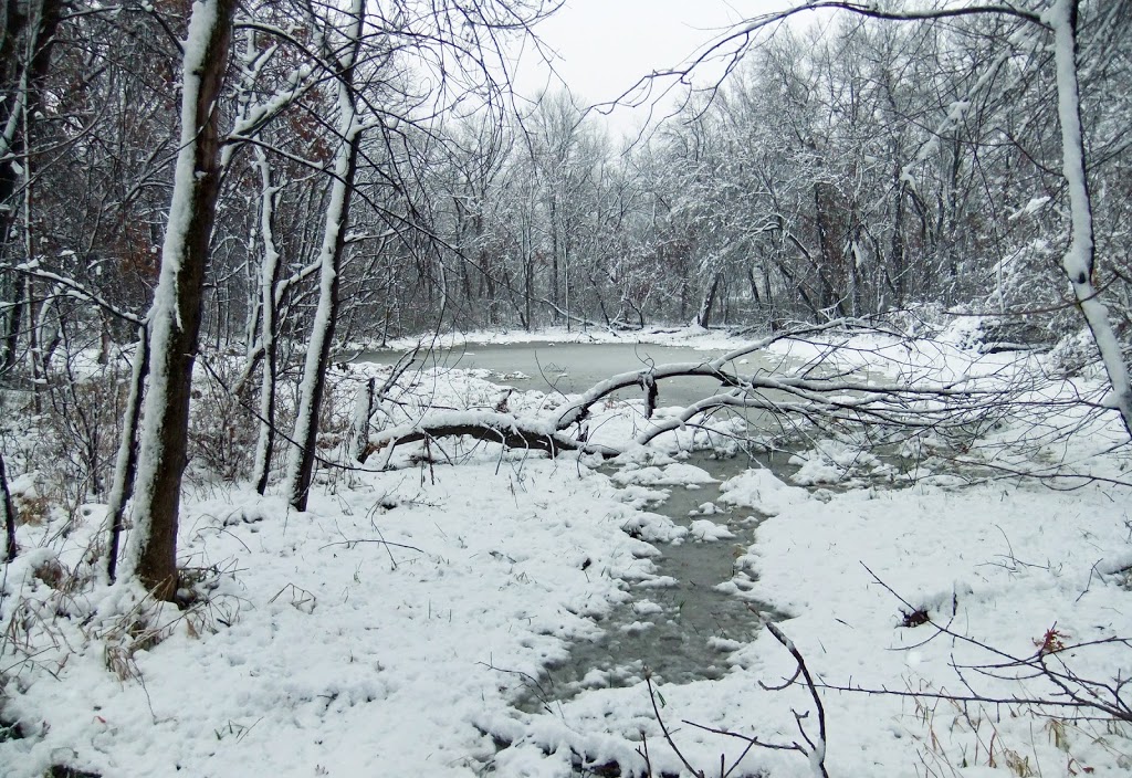 Maplewood Nature Center | 2659 E 7th St, Maplewood, MN 55119 | Phone: (651) 249-2170