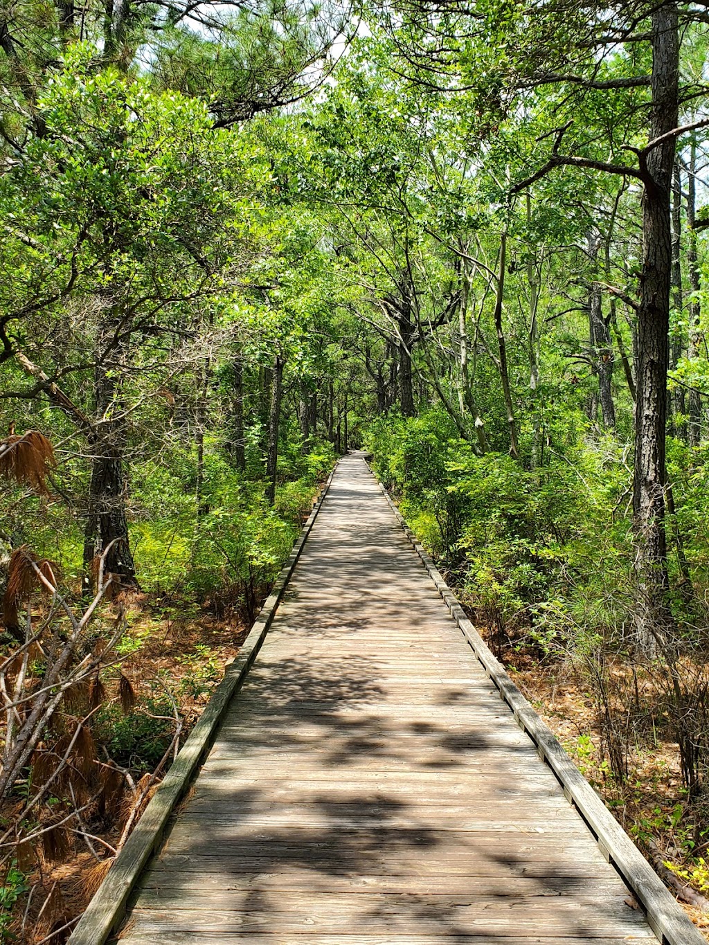 Currituck Banks Reserve | Corolla, NC 27927, USA | Phone: (252) 261-8891