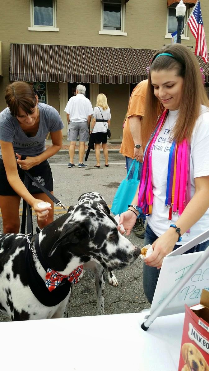 Big Walnut Animal Care Center | 6962 Big Walnut Rd, Galena, OH 43021, USA | Phone: (740) 548-4244