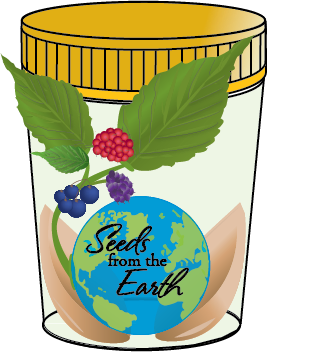 Seeds from the Earth | 13739 Genesee Rd, Chaffee, NY 14030, USA | Phone: (727) 204-1455