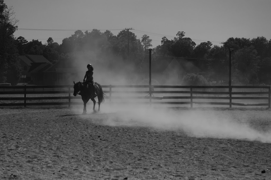 The Riding School at James River Equestrian Center | 414 Huguenot Trail, Midlothian, VA 23113 | Phone: (804) 594-0760