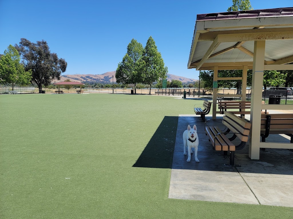 Central Park Dog Park | 1740 Stevenson Blvd, Fremont, CA 94538, USA | Phone: (510) 790-5541