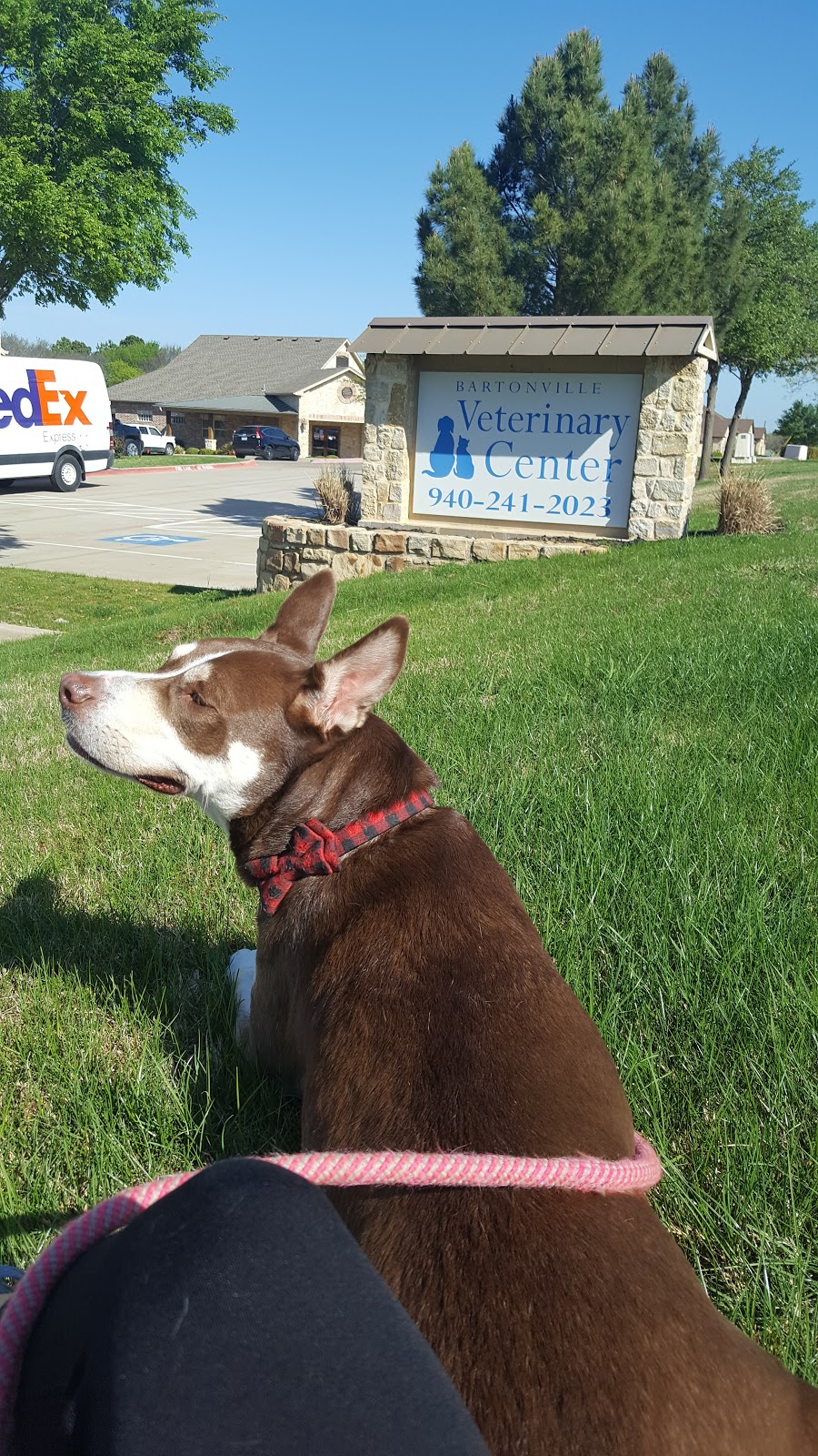 Bartonville Veterinary Center | 88 McMakin Rd, Bartonville, TX 76226 | Phone: (940) 241-2023