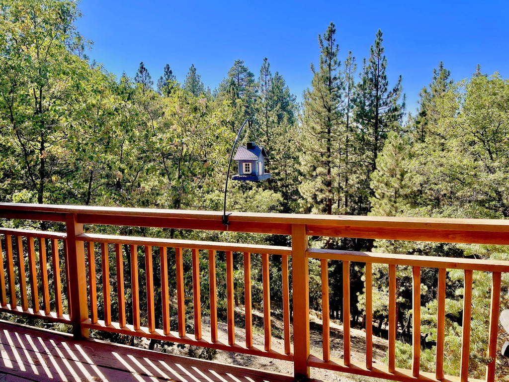 Moonridge Bear Mountain Cabin | 1266 San Pasqual Dr, Big Bear Lake, CA 92315, USA | Phone: (909) 366-9776