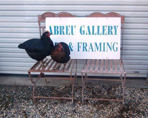 Abreu Gallery Picture Framers | 22232 Cottage Hill Dr, Grass Valley, CA 95949, USA | Phone: (916) 488-1211