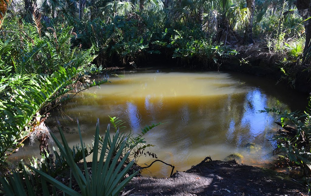 Werner-Boyce State Park Scenic Dr Trail Head | 10333 Scenic Dr, Port Richey, FL 34668, USA | Phone: (727) 816-1890