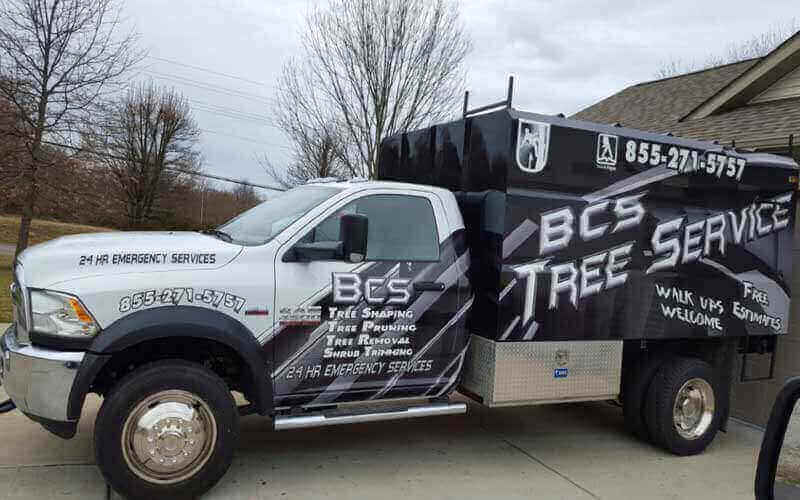 BCS Tree Service | 3752 Marquis Dr, Garland, TX 75042, USA | Phone: (469) 457-8072