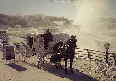 International Weddings & Carriage Rides | 1767 Ridge Rd, Lewiston, NY 14092, USA | Phone: (716) 754-7405