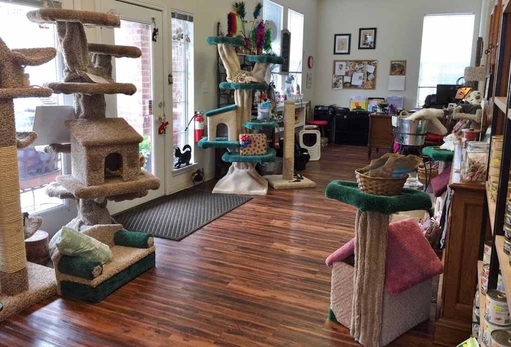 Whiskers Cat Boarding | 5411 Williams Dr, Georgetown, TX 78633, USA | Phone: (512) 863-2607