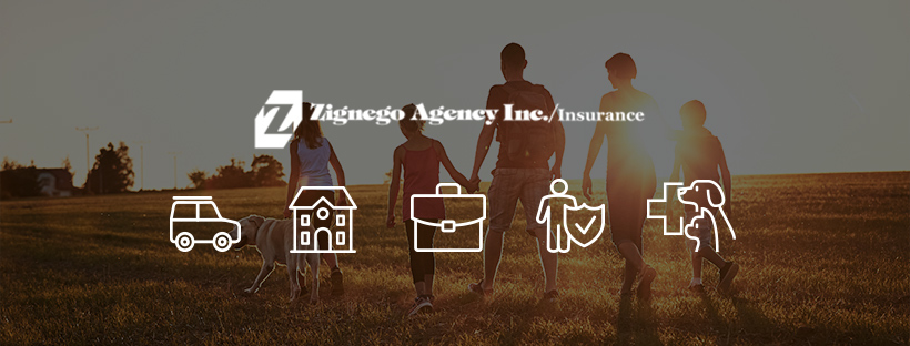 Zignego Agency Inc | 8975 33rd St N, Lake Elmo, MN 55042, USA | Phone: (651) 777-8788