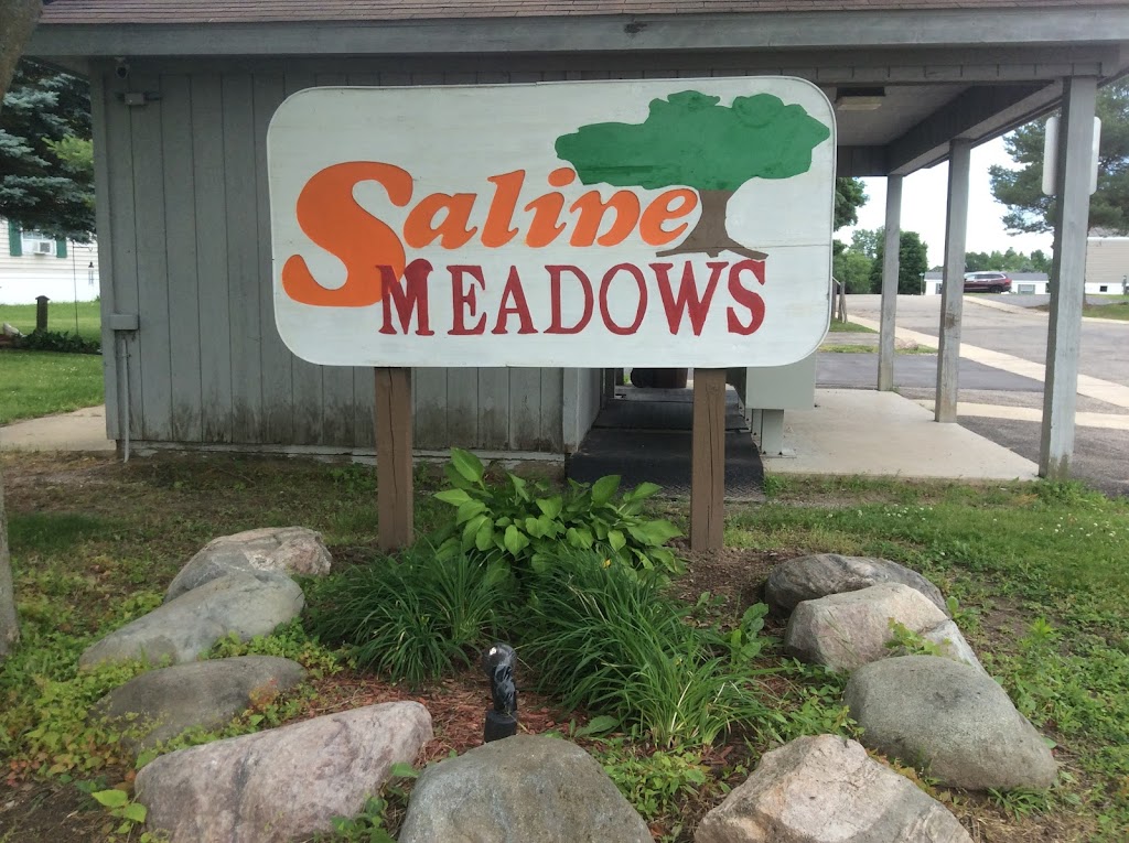 Saline Meadows | 6564 E Michigan Ave #39, Saline, MI 48176 | Phone: (248) 820-7658
