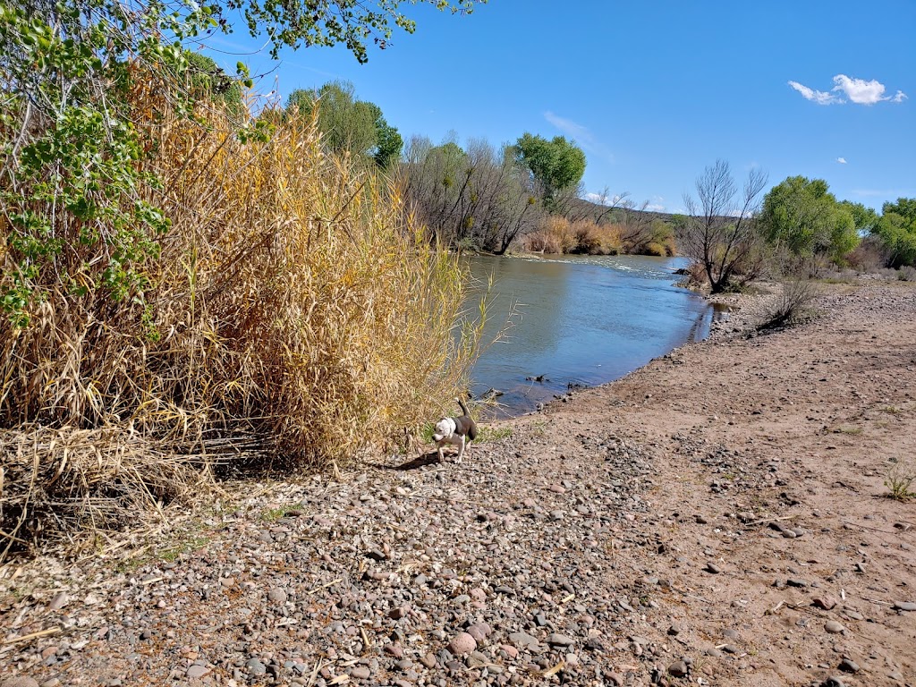 Verde River | Verde River, Arizona, Fort McDowell, AZ 85264, USA | Phone: (949) 335-8068