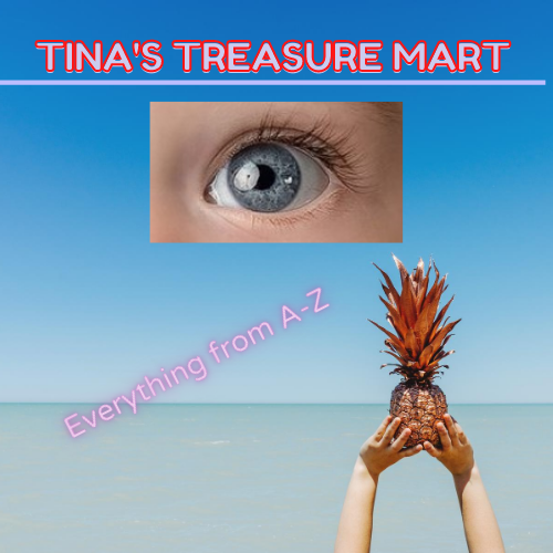 Tinas Treasure Mart | 11455 Pine Forest Dr, New Port Richey, FL 34654 | Phone: (727) 207-5611