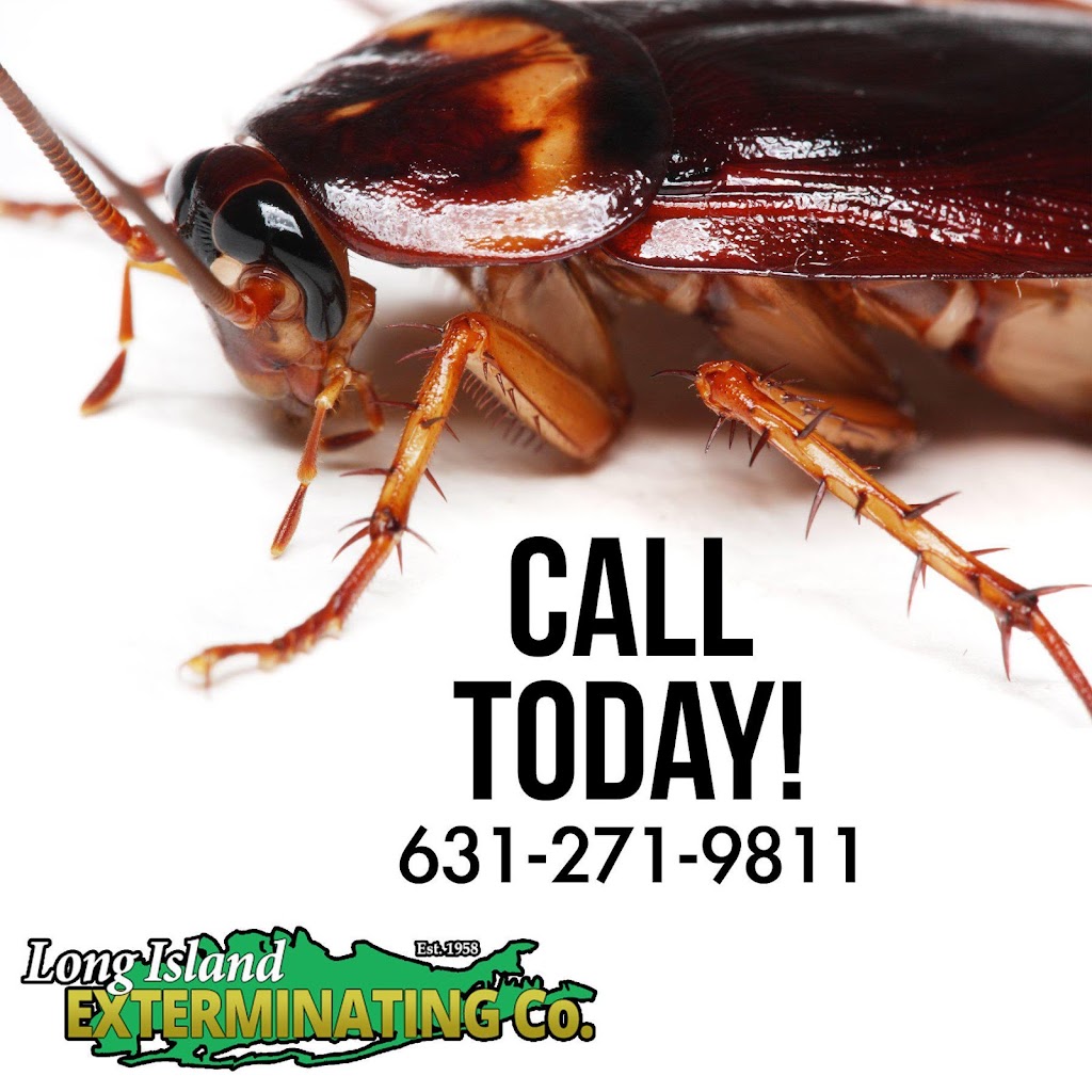 Long Island Exterminating Company | 675 W Jericho Turnpike, Huntington, NY 11743, USA | Phone: (631) 271-9811