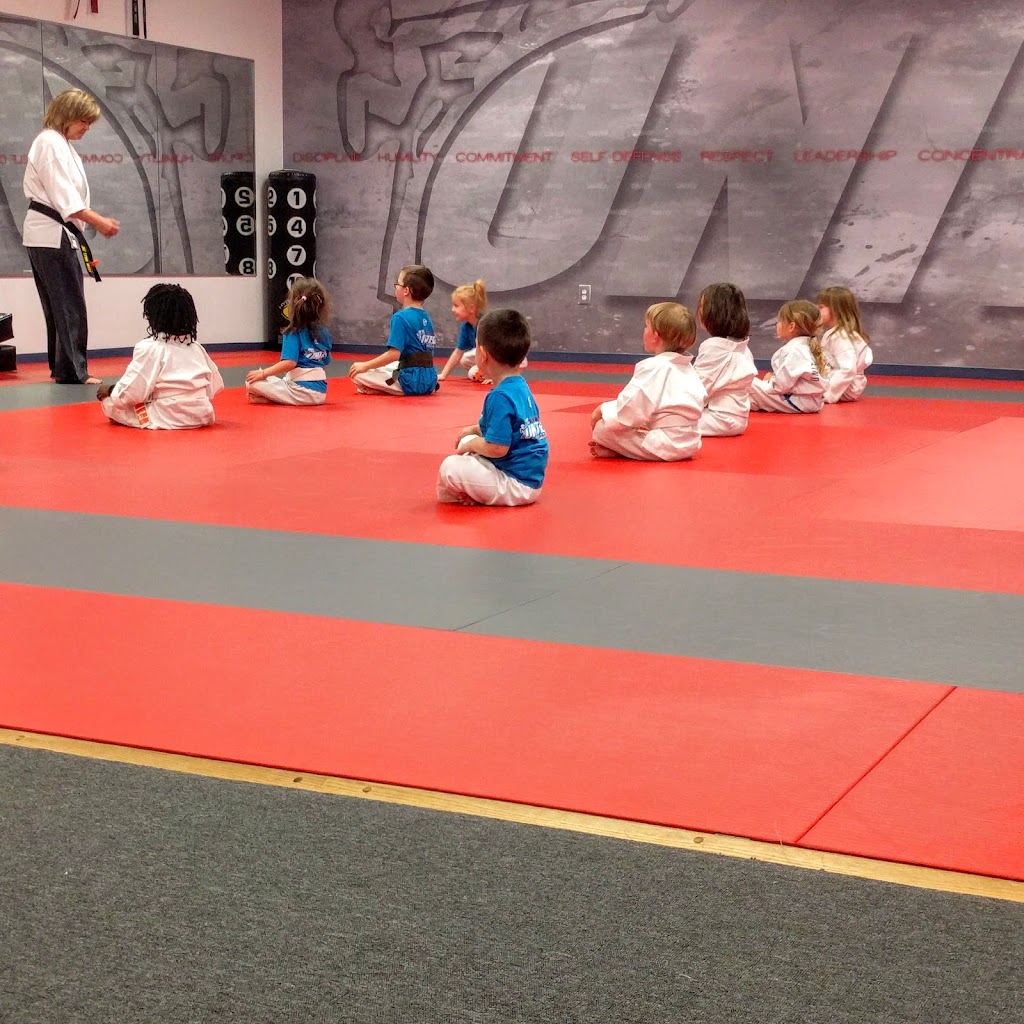 Jays United Karate Studio | 4605 Elk Ridge Ct, Flowery Branch, GA 30542, USA | Phone: (678) 374-6225