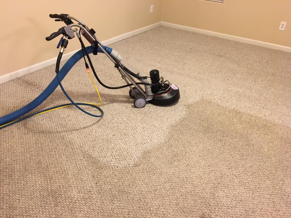Carpet Cleaning Arlington City | 1615 W Abram St, Arlington, TX 76013, USA | Phone: (682) 253-4614