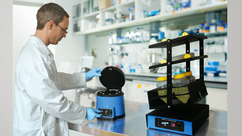 Next Advance | 2113 NY-7 Unit 1, Raymertown, NY 12180, USA | Phone: (518) 674-3510