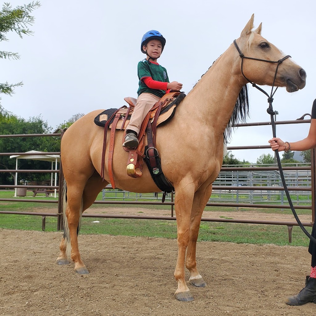 Holleys Horseback Rides for Parties | 918 Iron Horse Dr, San Marcos, CA 92078, USA | Phone: (808) 953-4883