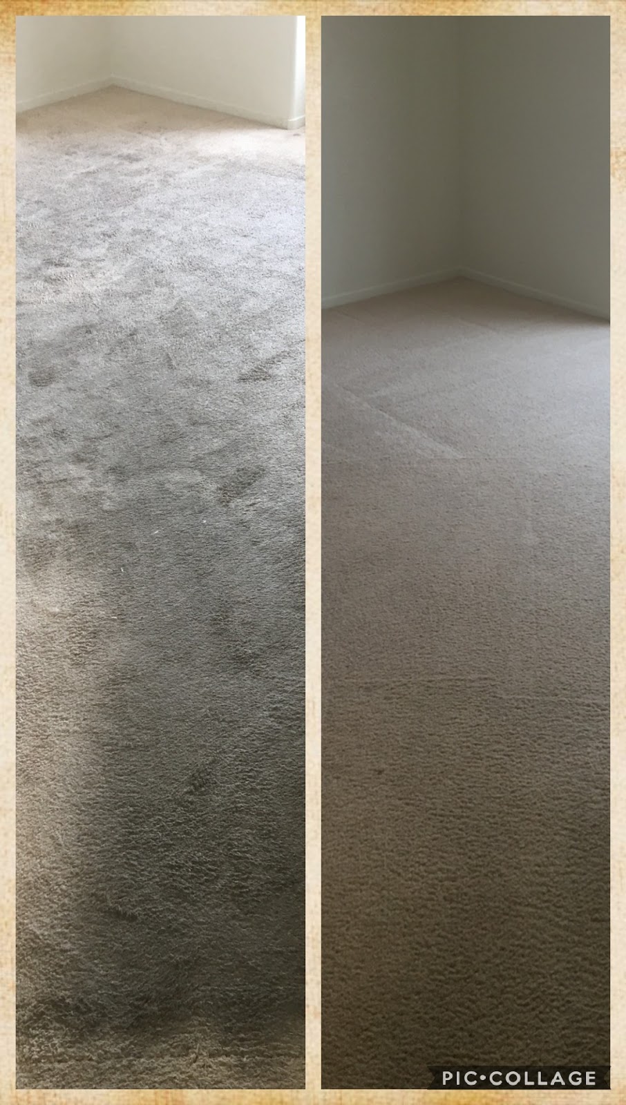 All Access Carpet Cleaning & Janitorial Services | 2125 Rockrose Cir, Henderson, NV 89074, USA | Phone: (702) 741-9896