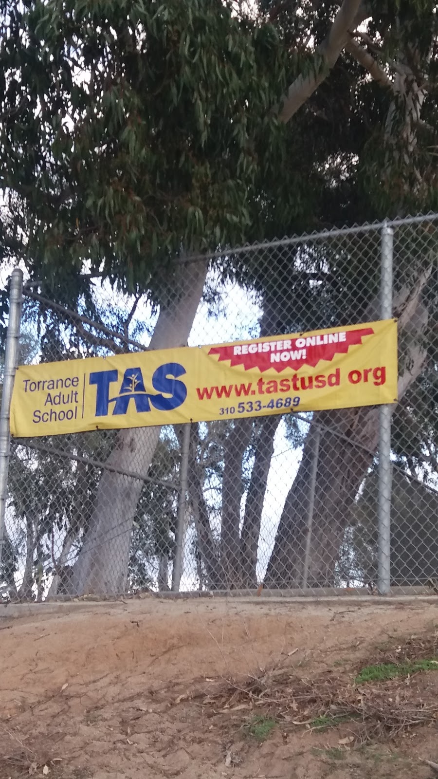 Fern Elementary School | 1314 Fern Ave, Torrance, CA 90503, USA | Phone: (310) 533-4506 Fern Elementary School | 1314 Fern Ave, Torrance, CA 90503, USA | Phone: (310) 533-4506