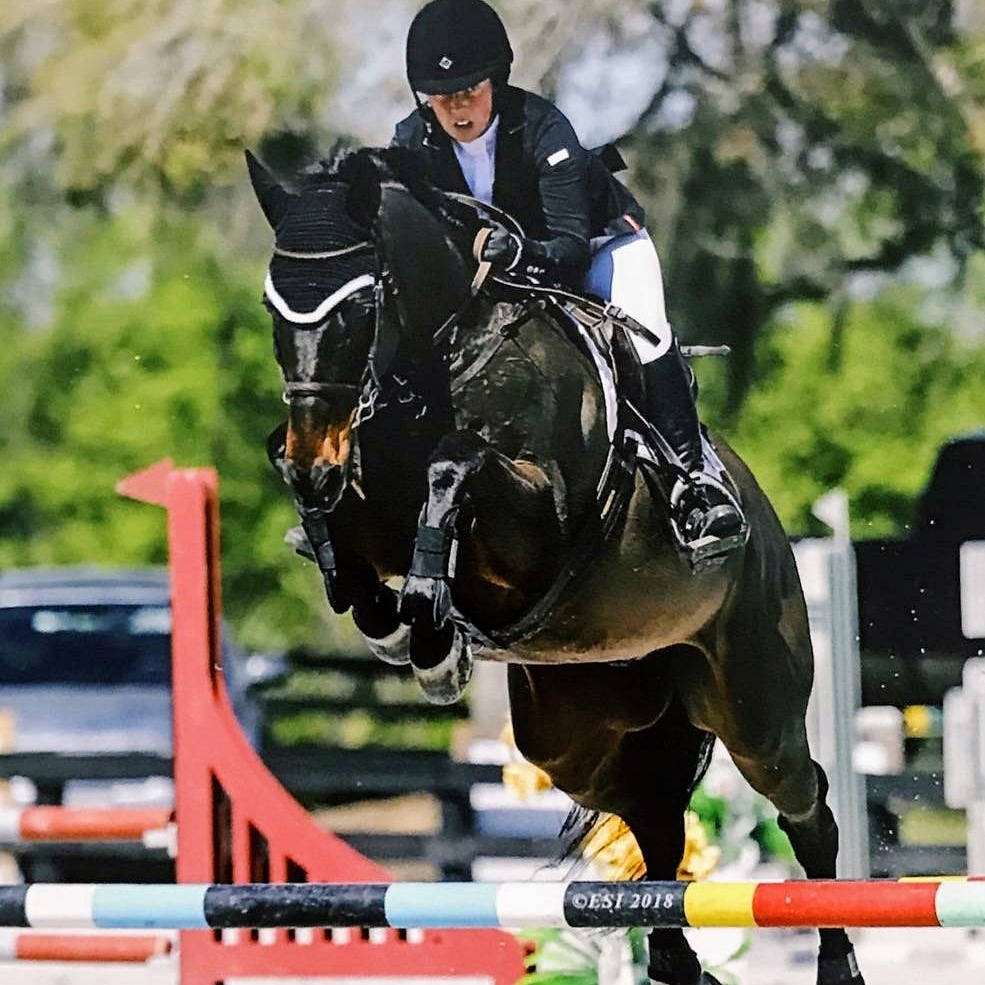 Spring Valley Stables Inc | 212 Warrendale Rd, Mars, PA 16046, USA | Phone: (724) 625-9003